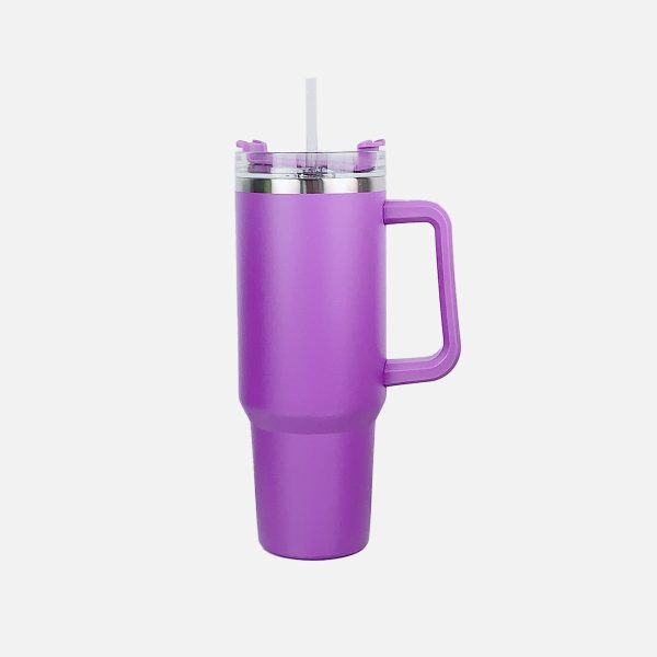 Stainless Steel Tumbler with Handle and Straw (multiple color options) Online